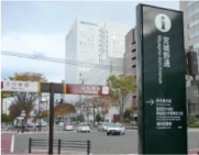 宮城野区エリア